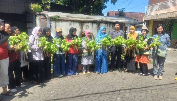 Kadis DP2 Makassar Pimpin Panen Sayuran Hidroponik, Urban Farming Kian Berkembang di Kapasa Raya