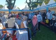 CKG HUT HKG PKK dan Dekranas di Makassar Jangkau 667 Peserta